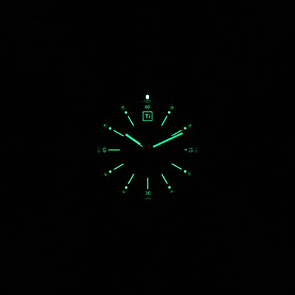 Ti Field Watch / Automatic / Stonewashed